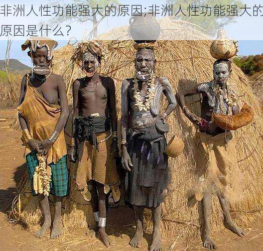 非洲人性功能强大的原因;非洲人性功能强大的原因是什么?