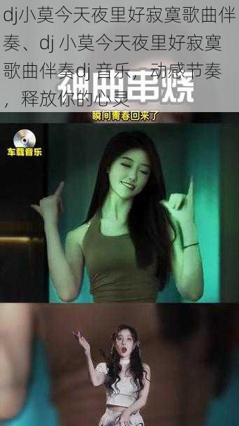 dj小莫今天夜里好寂寞歌曲伴奏、dj 小莫今天夜里好寂寞歌曲伴奏dj 音乐,动感节奏,释放你的心灵