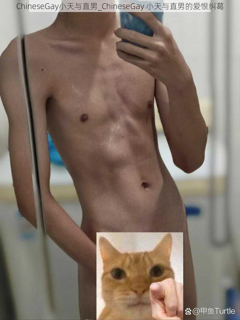 ChineseGay小天与直男_ChineseGay 小天与直男的爱恨纠葛