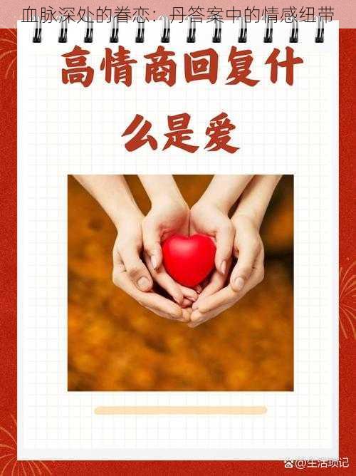 血脉深处的眷恋:丹答案中的情感纽带
