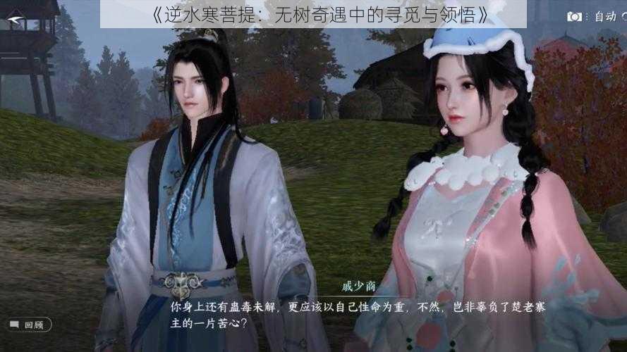 《逆水寒菩提:无树奇遇中的寻觅与领悟》