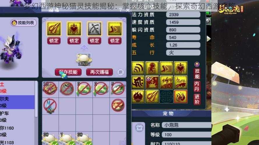 梦幻西游神秘猫灵技能揭秘:掌握核心技能,探索奇幻西游之旅