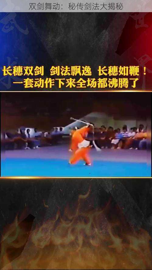 双剑舞动:秘传剑法大揭秘