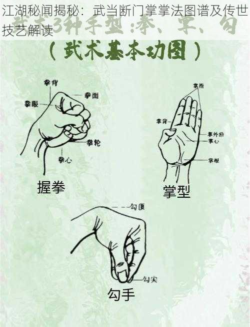 江湖秘闻揭秘:武当断门掌掌法图谱及传世技艺解读