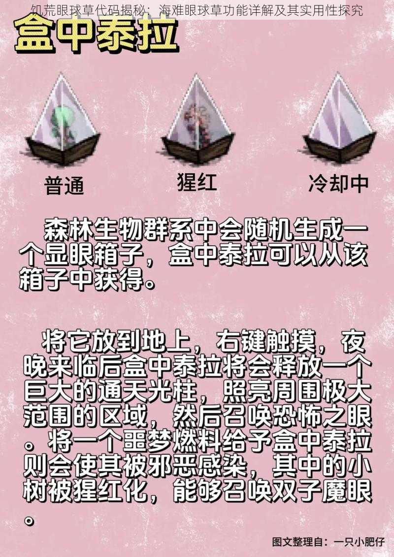 饥荒眼球草代码揭秘:海难眼球草功能详解及其实用性探究