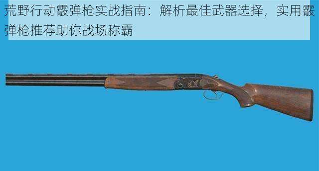 荒野行动霰弹枪实战指南:解析最佳武器选择,实用霰弹枪推荐助你战场称霸