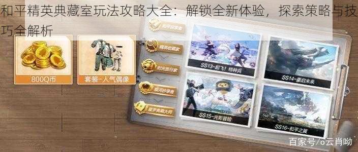 和平精英典藏室玩法攻略大全:解锁全新体验,探索策略与技巧全解析