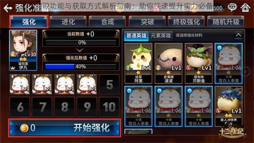 十二战纪狗粮功能与获取方式解析指南:助你快速提升实力必备的神秘助力