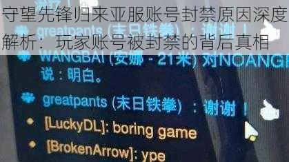守望先锋归来亚服账号封禁原因深度解析:玩家账号被封禁的背后真相